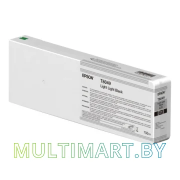 Картридж Epson C13T804900